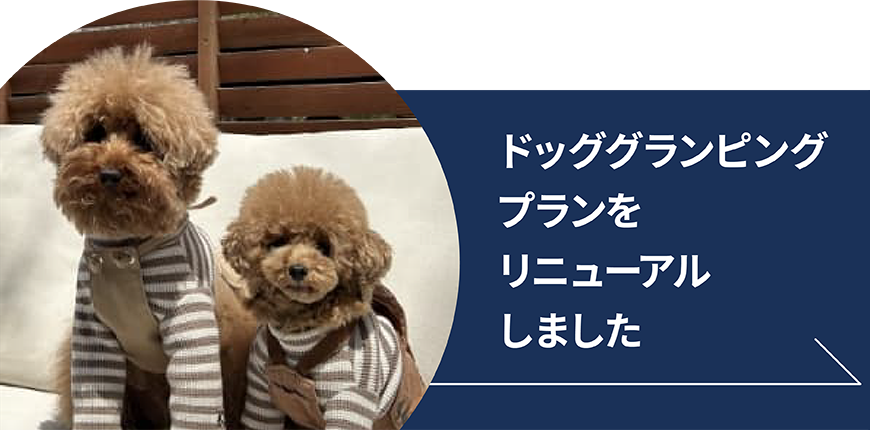 ドッググランピング（Dog）